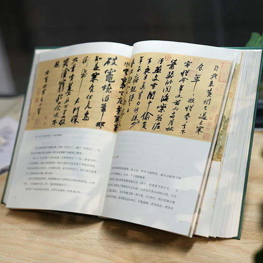 《苏轼的朋友圈》 商品图6