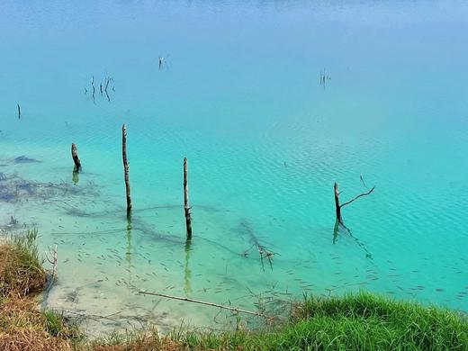户外@假期【浪漫茂名3天】春湾石林+巴布几内湾+晏镜岭+童子湾3天 商品图4
