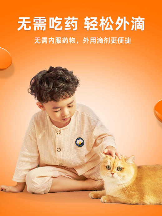 【猫用滴派 买1送1同款单支】普安特内外同驱吡虫啉莫昔克丁滴剂滴派猫用（产品包装更新，新旧包装随机发货） 商品图2