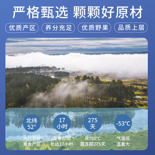 ⁴ 近效清仓198元/12盒 限量前100名加送不老莓【大兴安岭野生蓝莓原浆】1袋≈80粒蓝莓鲜果+蜂蜜50ml*7袋/盒 效期至26年11月 YC04-YKSC 商品图2