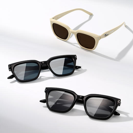 普莱斯新款太阳镜PBS24009A 新潮显白好搭配 优质板材镜框 TAC偏光镜片 修颜宽边镜腿 男女同款 四色可选 商品图9