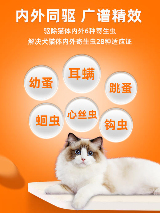 【猫用滴派 买1送1同款单支】普安特内外同驱吡虫啉莫昔克丁滴剂滴派猫用（产品包装更新，新旧包装随机发货） 商品图1