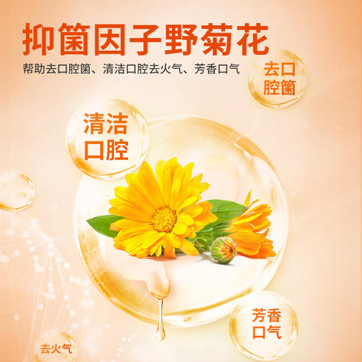 【26元任选2件】普安特营养能量骨犬用宠物零食磨牙棒狗狗口腔洁齿骨骼健壮促消化（2包） 商品图2