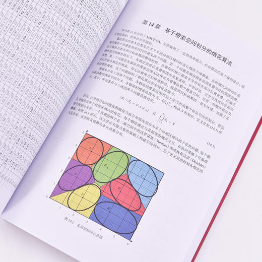 烟花算法理论及应用 智能算法与应用人工智能算法计算机编程语言程序设计书籍 商品图2