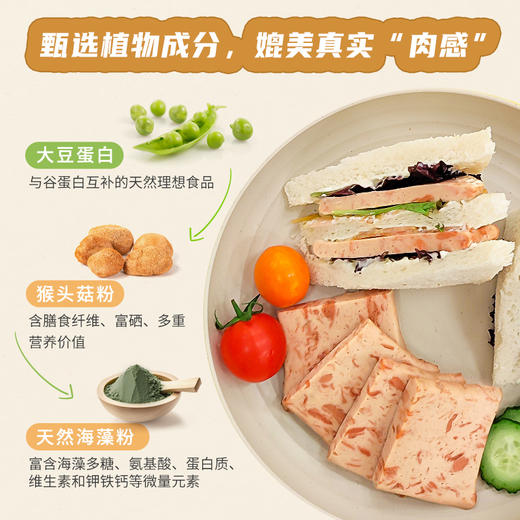 【尝新价】新素食厚切植物午餐肉即食50g/袋（2-12袋装） 商品图4