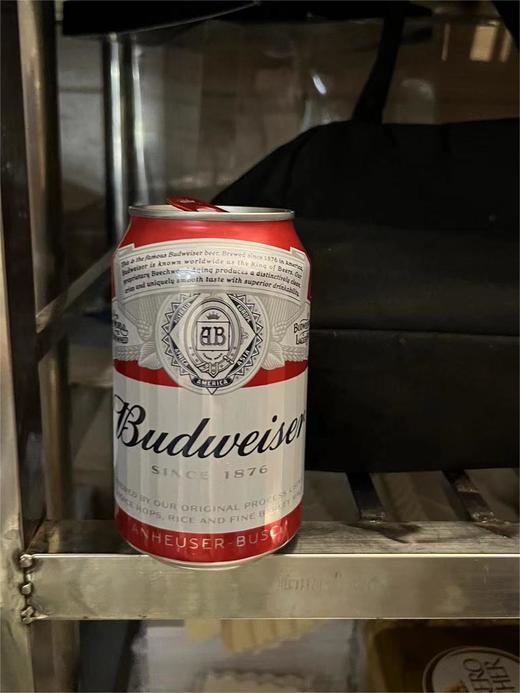 啤酒/1*1瓶 商品图0