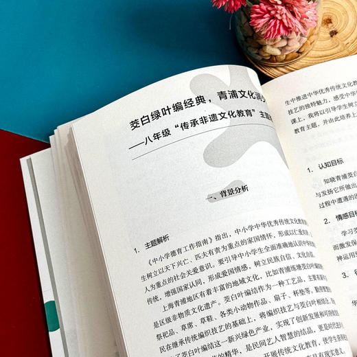 班主任基本功实战案例解析与指导 大夏书系 卓月琴编著 商品图12