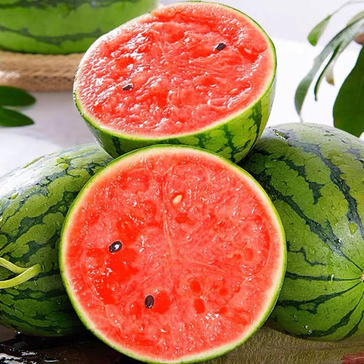 山东2K手撕小糖丸西瓜 当季新鲜水果 京东发货 商品图0