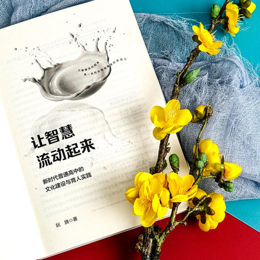 让智慧流动起来 新时代普通高中的文化建设与育人实践 阮旖著 商品图6