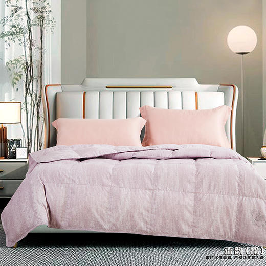 鑫缘 可水洗白鹅朵朵绒被 EYPB0220 商品图0