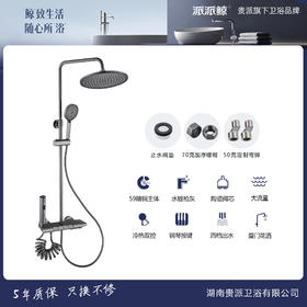 贵派卫浴 轻奢四挡淋浴花洒 LY004QH 枪灰