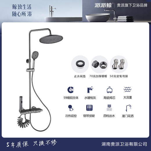 贵派卫浴 轻奢四挡淋浴花洒 LY004QH 枪灰 商品图0