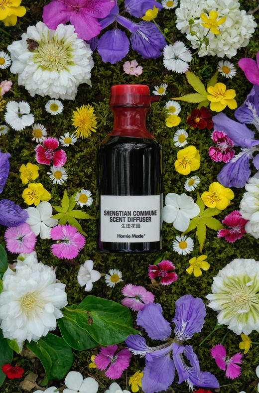 生田花园藤条香薰 商品图0