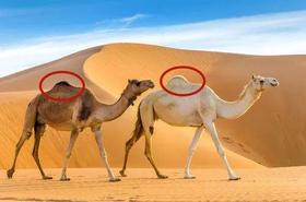  这才是男人该穿的内裤！保护“小兄弟”，冰凉透爽，比裸奔还舒服！ 