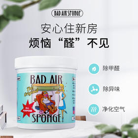 【香港直邮】 美国Bad Air Sponge空气净化剂白宫新房异味甲醛清除剂 400g