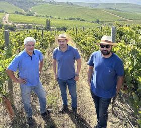 多次击败拉菲的新世界之王是谁？