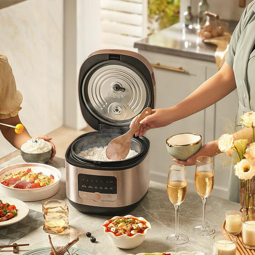 小熊电饭煲DFB-Q40G5 商品图4