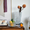 现代简约高级感透明直筒水晶琉璃花瓶水培鲜花居家餐桌客厅装饰品 商品缩略图6