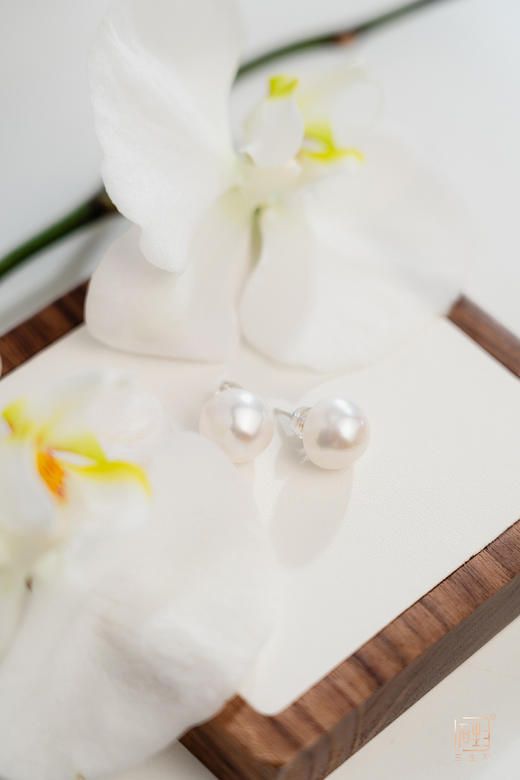 赛澳白-天然珍珠耳钉（12-13mm左右） 商品图0