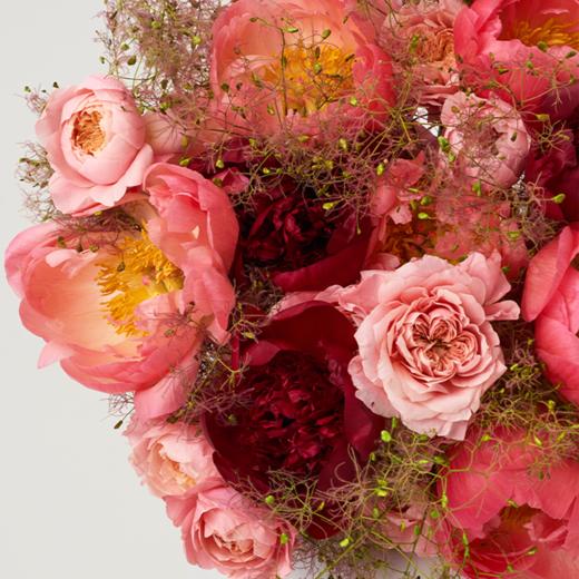 「Peony Season」时光美人 Time Beauty 商品图2