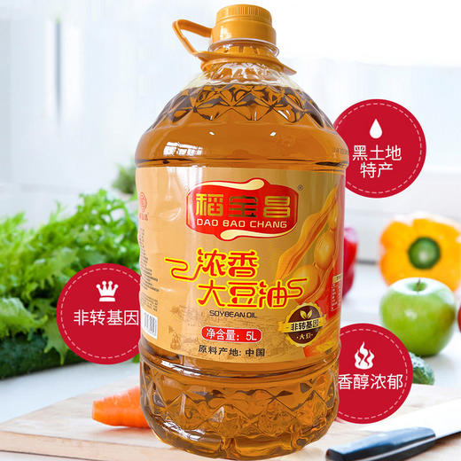  稻宝昌东北浓香大豆油5L家用食用油 商品图1