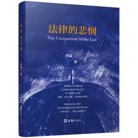 法律的悲悯(洪流)