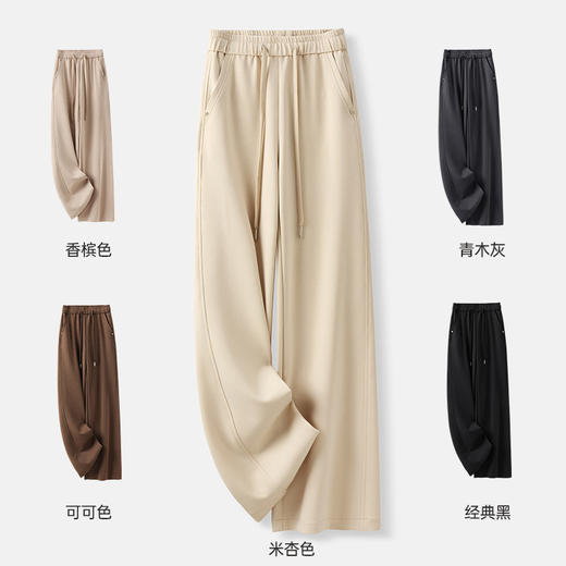 HSS 2850四面弹天丝醋酸休闲裤显瘦宽松紧腰窄版阔腿裤 商品图1