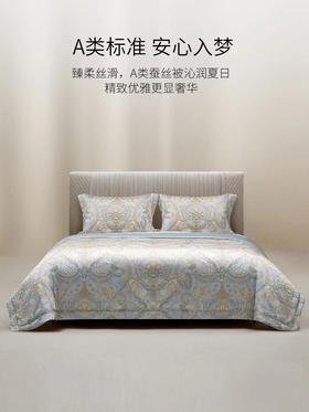 罗卡芙查理王子婴幼儿级可水洗桑蚕丝夏被 （赠送同款天丝枕套一对，价值698）