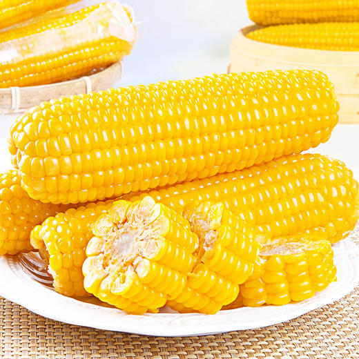  稻宝昌 东北鲜制黄糯玉米棒真空 8穗2200g 商品图5