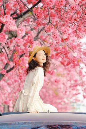 游玩赏花，去赴一场春日之约