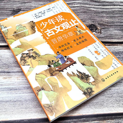 少年读古文观止：晋唐华章(（清）吴楚材、（清）吴调侯  编选  赵红玉、冯慧敏  导读注译  央美阳光  绘) 商品图2