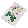 【中商原版】Redoute Roses 进口艺术 雷杜德：玫瑰 Taschen 商品缩略图1