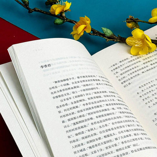 文化江南札记 增补版 胡晓明 金陵史记 姑苏文化 商品图9