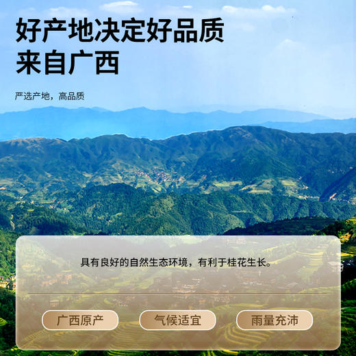 【168元任选3件】【正宗同仁堂品牌】北京同仁堂 青源堂 桂花50g 原味干桂花  源自广西  拒绝熏硫 自然清香SY 商品图2