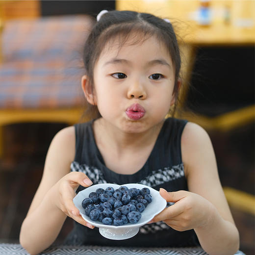 【抚仙湖花香蓝莓】 湖边蓝莓全部来源于绿色无公害的 种植 香甜爽口果香浓郁 果粒饱满一年一熟高标 准种植 每一颗浆果长的水灵饱满多汁清甜 商品图2