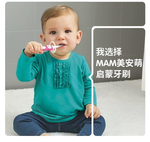 MAM 美安萌 启蒙牙刷（单支/双支装）6月+（颜色随机 介意慎拍！） 商品图3