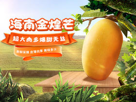 海南芒果金煌芒水仙芒精美礼盒热带水果海南直发