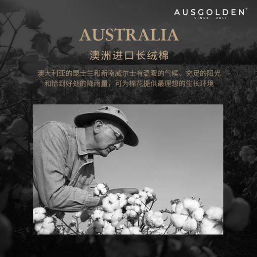 【完税】AusGolden经典系列瓦拉索全棉四件套 商品图3