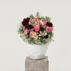 「Peony Season」林间游戏 Forest Games