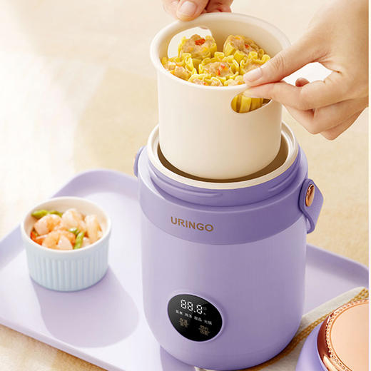 七彩叮当小电炖锅煮粥神器电炖锅DG03 商品图3