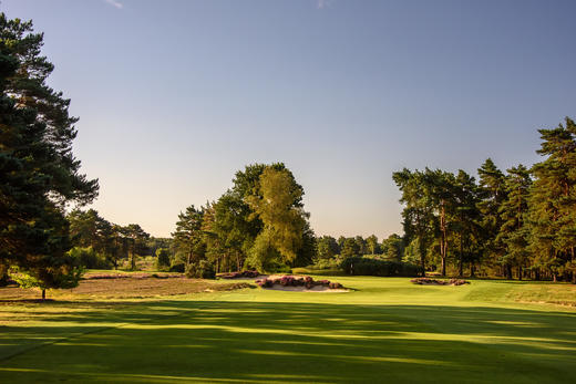英格兰桑宁戴尔高尔夫俱乐部（新球场）Sunningdale Golf Club（NEW Course） | 伦敦高尔夫 | 英国高尔夫球场 俱乐部 | 欧洲高尔夫  | 世界百佳 商品图3