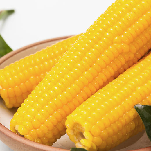  稻宝昌 东北鲜制黄糯玉米棒真空 8穗2200g 商品图3