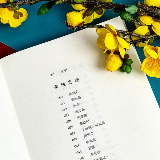 文化江南札记 增补版 胡晓明 金陵史记 姑苏文化 商品图8