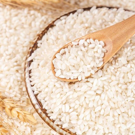  稻宝昌慢生长新东北大米雪花米5斤大米真空装 商品图5