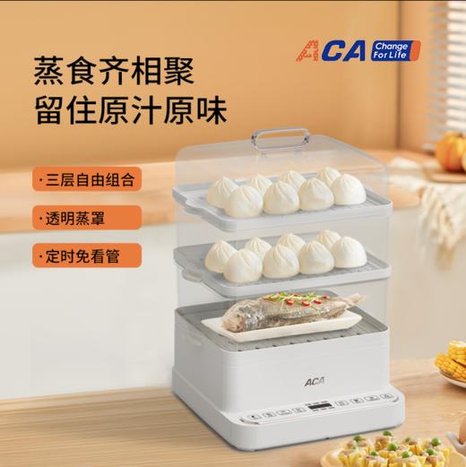 【绮】ACA多功能电蒸锅 ALY-H80DZ13D 商品图0