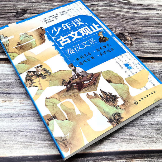 少年读古文观止：秦汉文采(（清）吴楚材、（清）吴调侯  编选  赵红玉、冯慧敏  导读注译  央美阳光  绘) 商品图2
