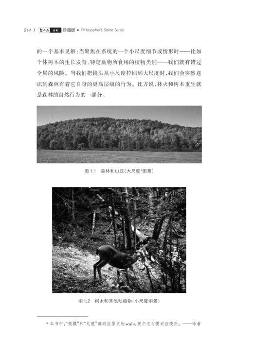 《解困之道：在复杂世界中解决复杂问题》 哲人石丛书：珍藏版（25周年特辑） 商品图5