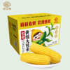  稻宝昌 东北鲜制黄糯玉米棒真空 8穗2200g 商品缩略图1