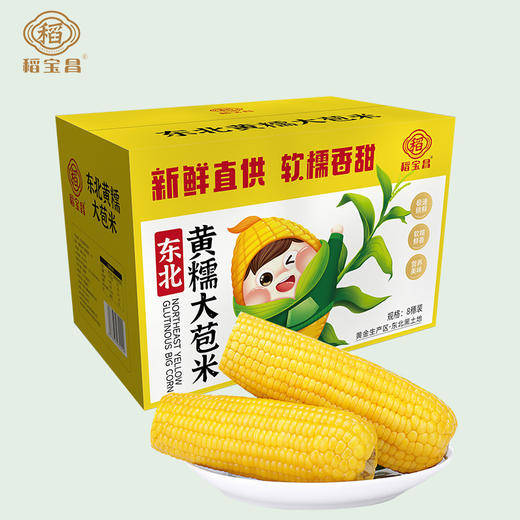  稻宝昌 东北鲜制黄糯玉米棒真空 8穗2200g 商品图1