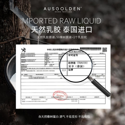 【完税】澳大利亚 AusGoldenM系列艾尔利黄金玻尿酸乳胶枕 商品图2